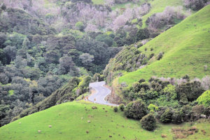 travelling-independently-nz