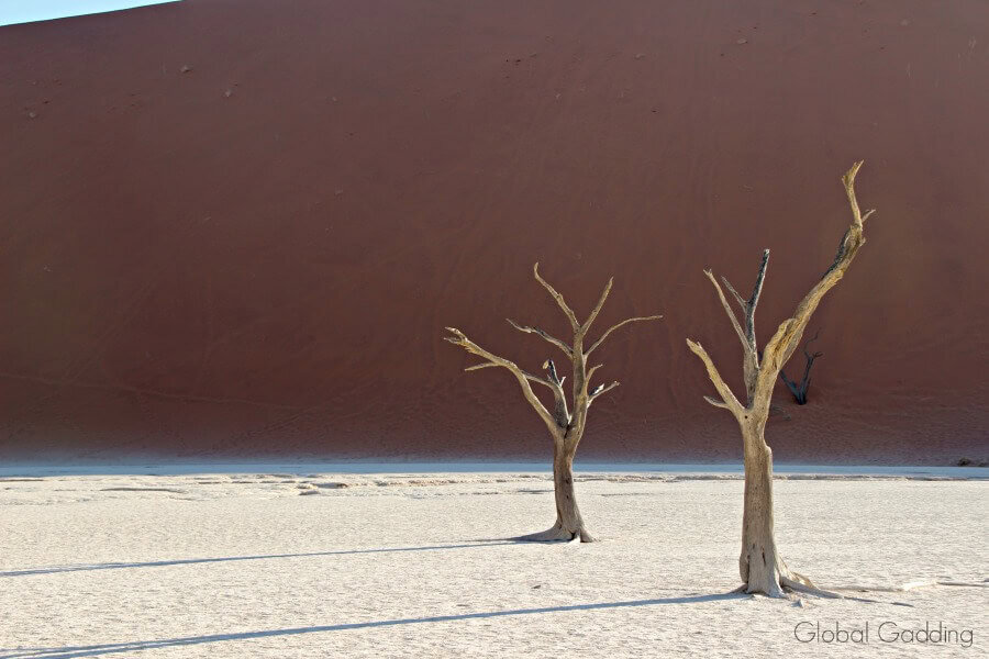 Ancient dead trees on cracked white clay pan in Deadvlei, Namibia