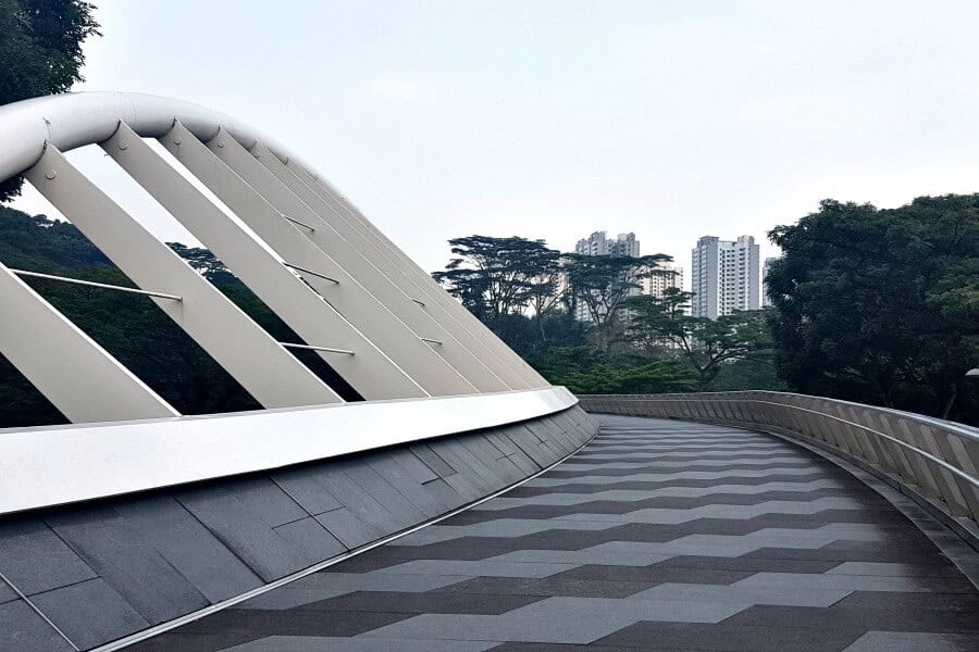 henderson waves bridge in Singapore