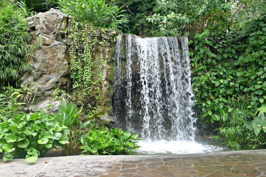 singapore botanic garden