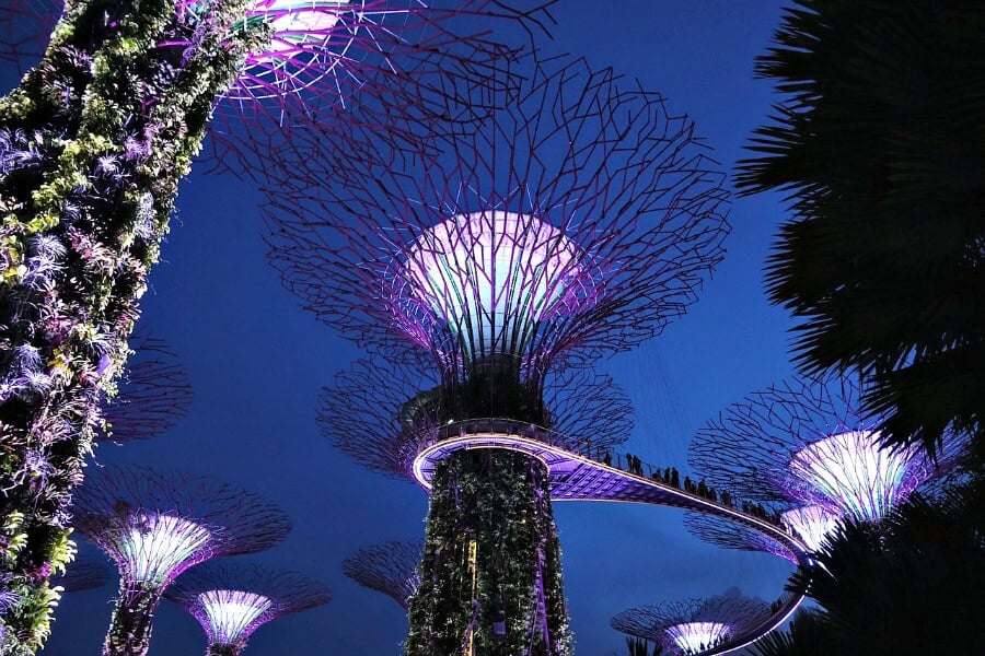 singapore-gardens-by-the-bay-trees