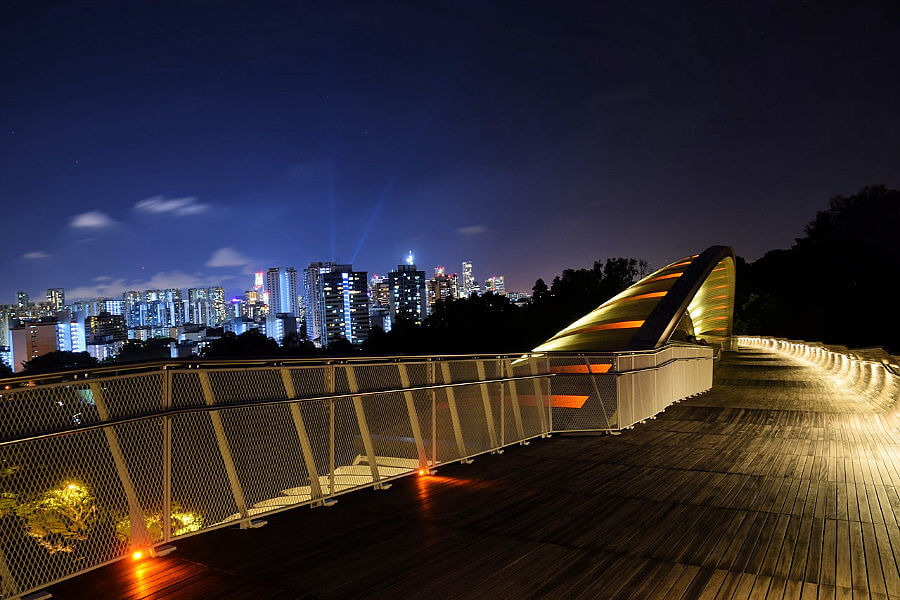 singapore-henderson-wave
