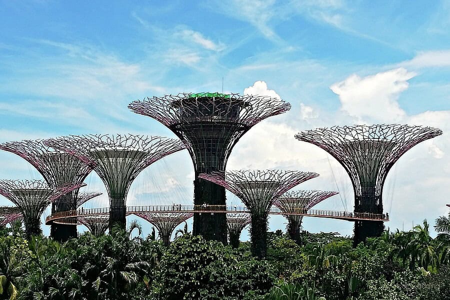 singapore-supertrees