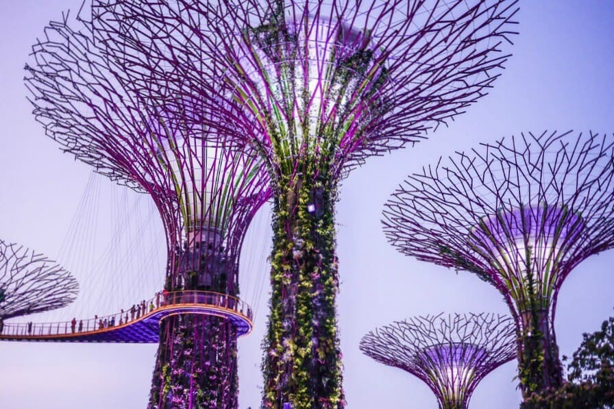 gardens by the bay singapore
