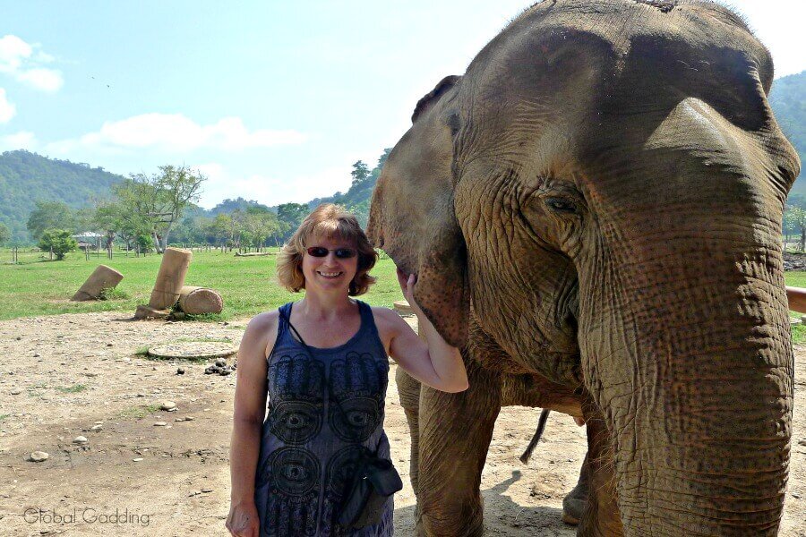 Ethical Elephant Encounter Chiang Mai, Elephant nature Park