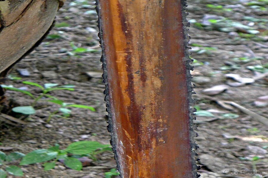 Cambodia's Killing Fields