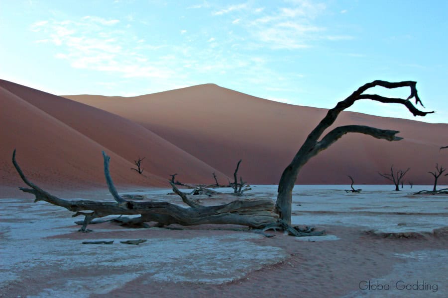Twisted tree trunks of Deadvlei in Namib-Naukluft National Park