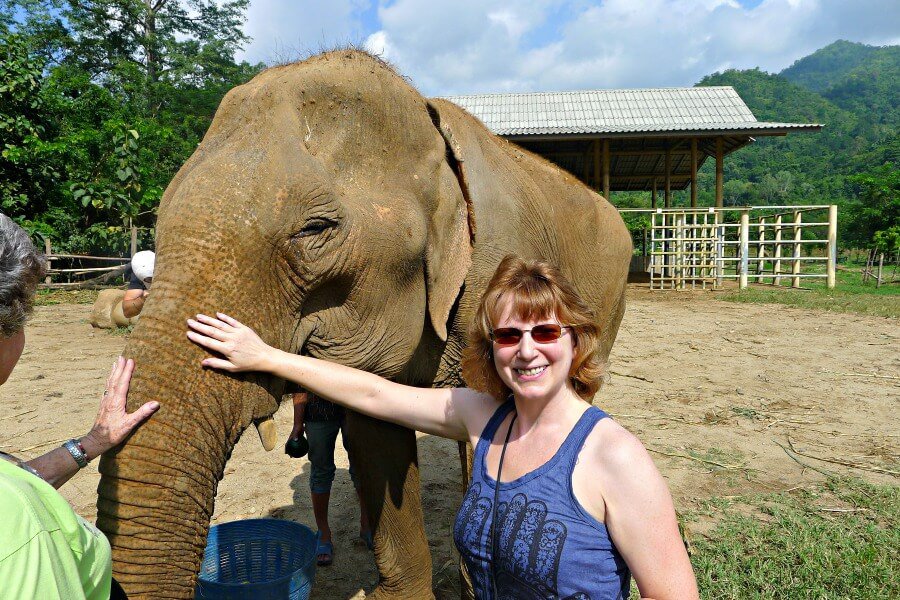 elephant-nature-park-chiang-mai
