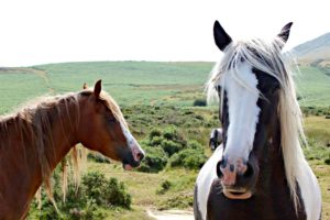 Road trip Wales's Brecon Beacons