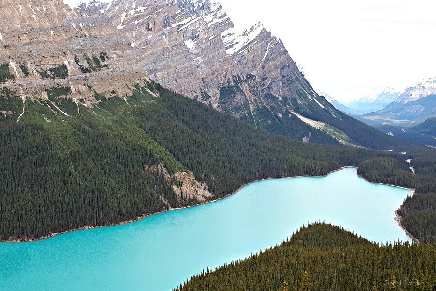 Turquoise-coloured Peyto Lake with a backdrop of mountains
