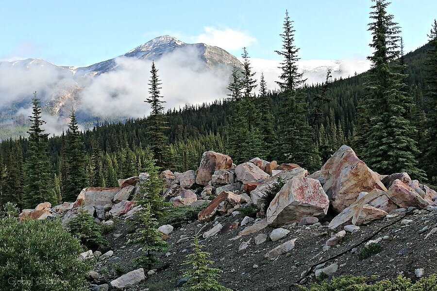 Large pink Quartzite rocks in the foreground, and evergreen trees and mountains in the background.