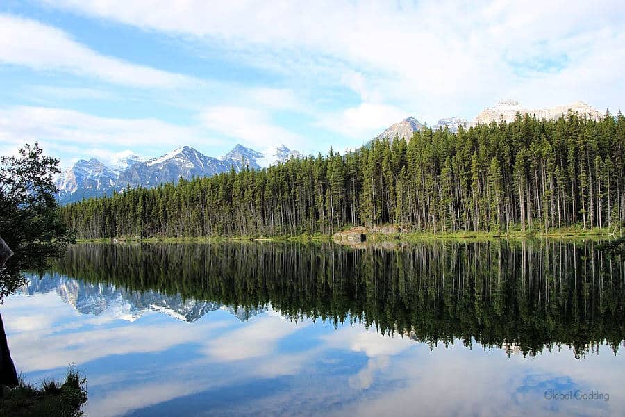 herbert-lake