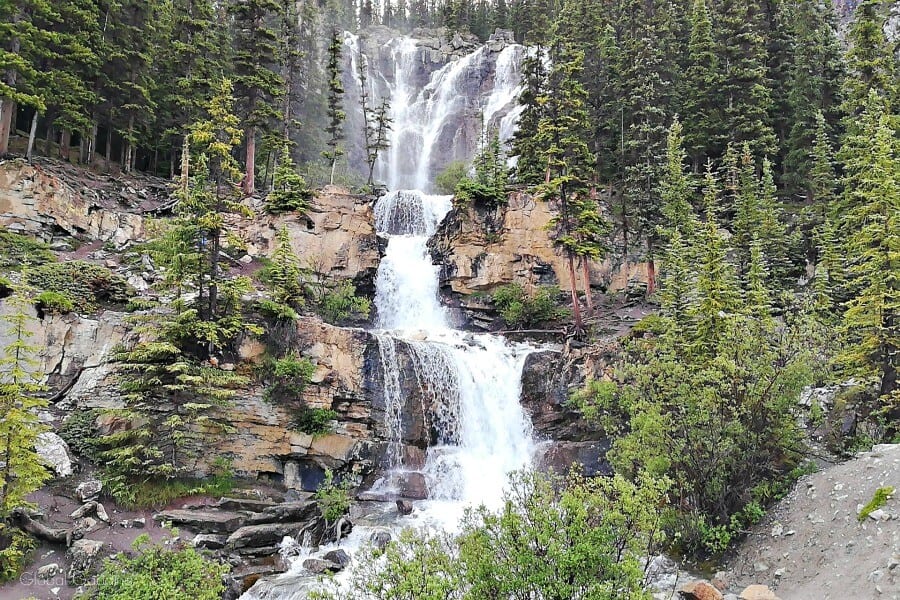 tangle-falls