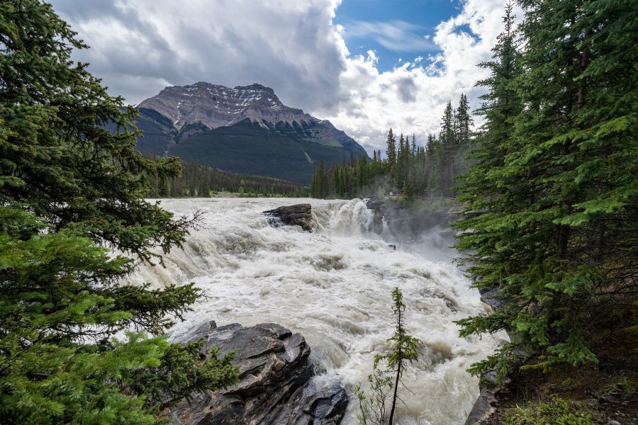 Athabasca Falls seen on an Icefields Parkway road trip