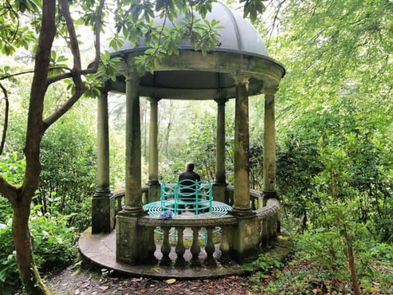 portmeirion-woodlands