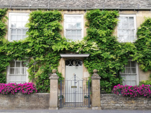 Front of a cottage