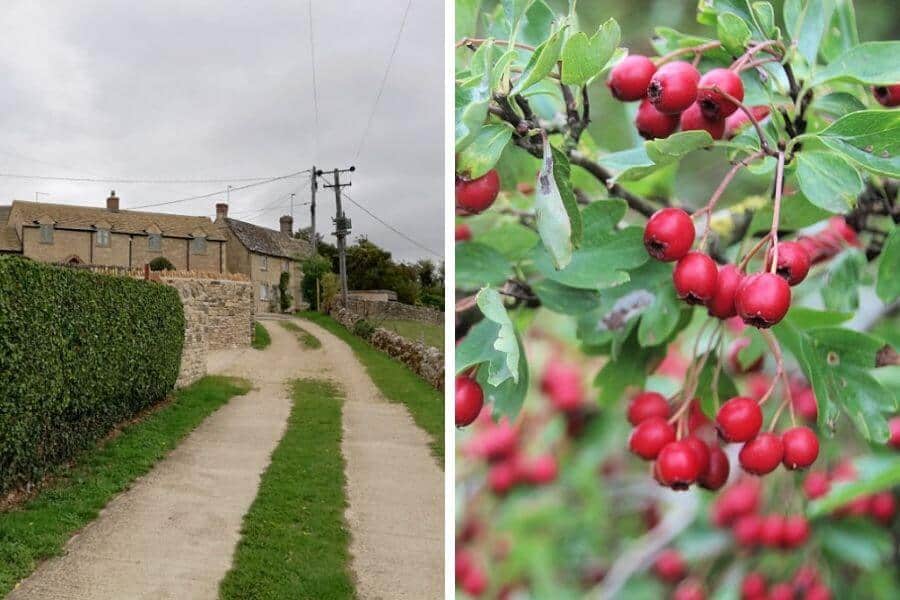circular walk from Minster Lovell in the Cotswolds.