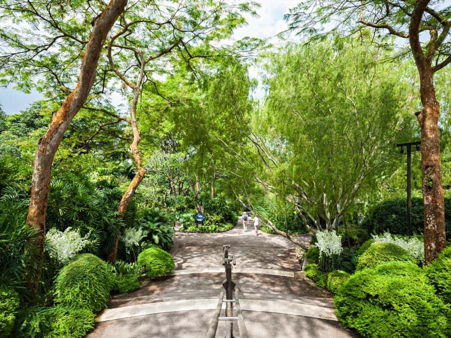 Clean public park in Singapore with well-maintained paths