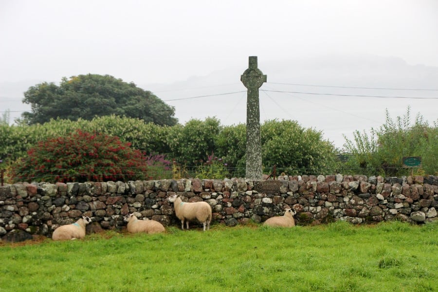 Stone cross in a field of sheep