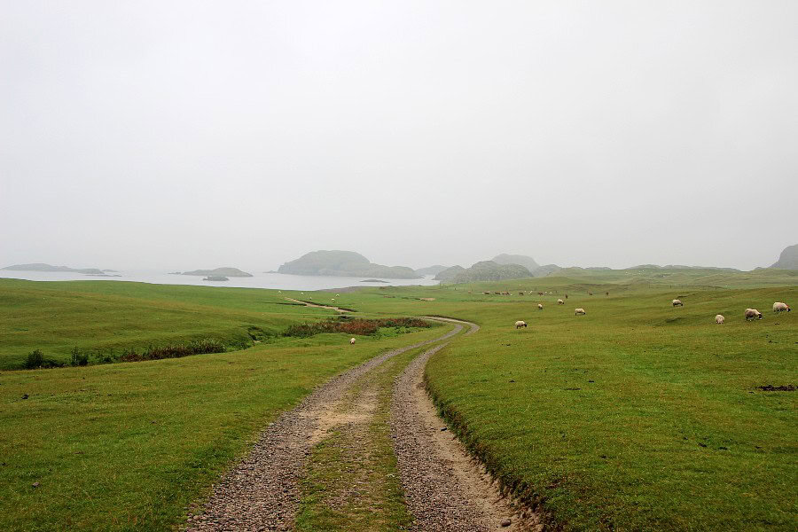 path through pasture land
