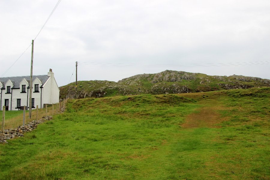 field of grass and a white house