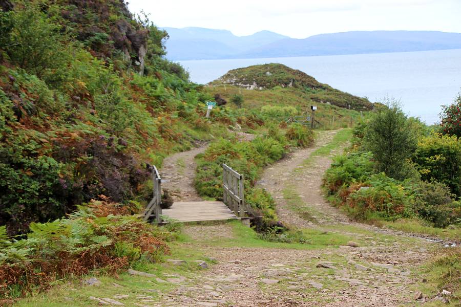 wooden bridge on a rocky path