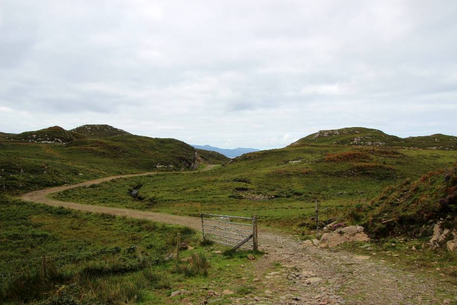 moorland
