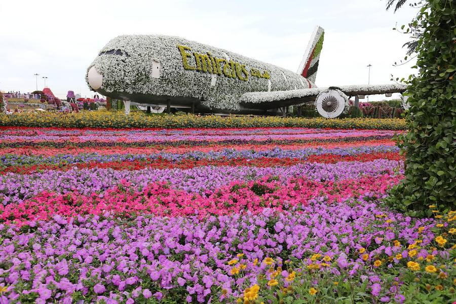 airbus covered with fresh flowers