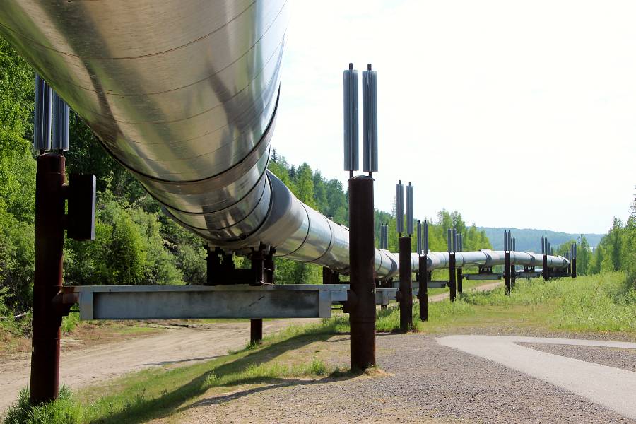 trans alaska pipe line near fairbanks