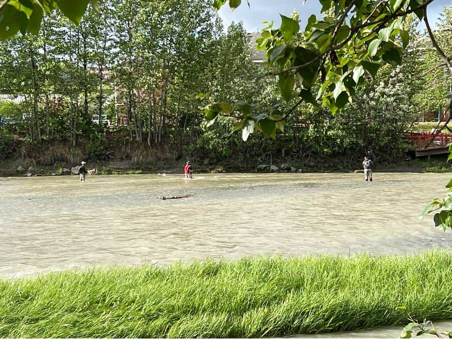 fishing at ship creek, anchorage