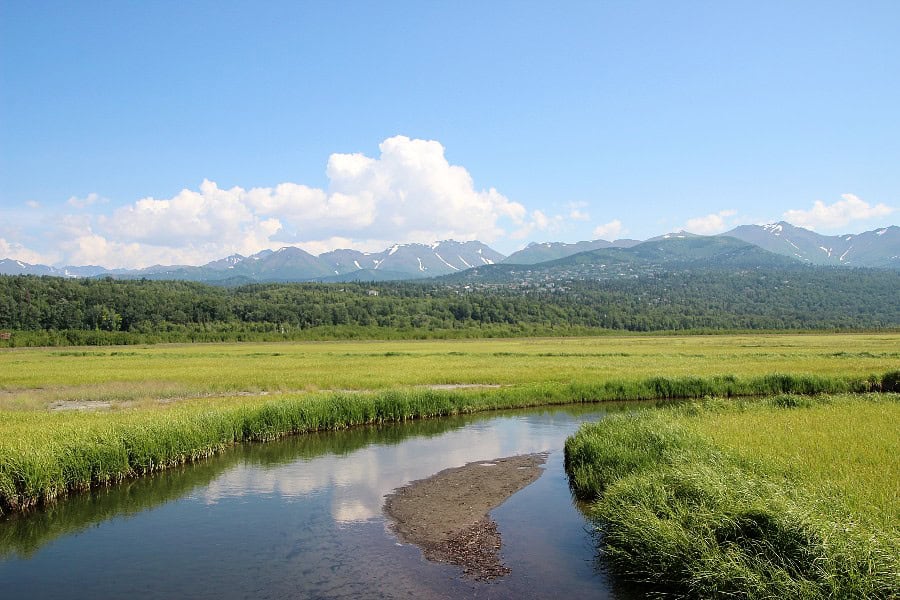 potter marsh turnagain arm alaska