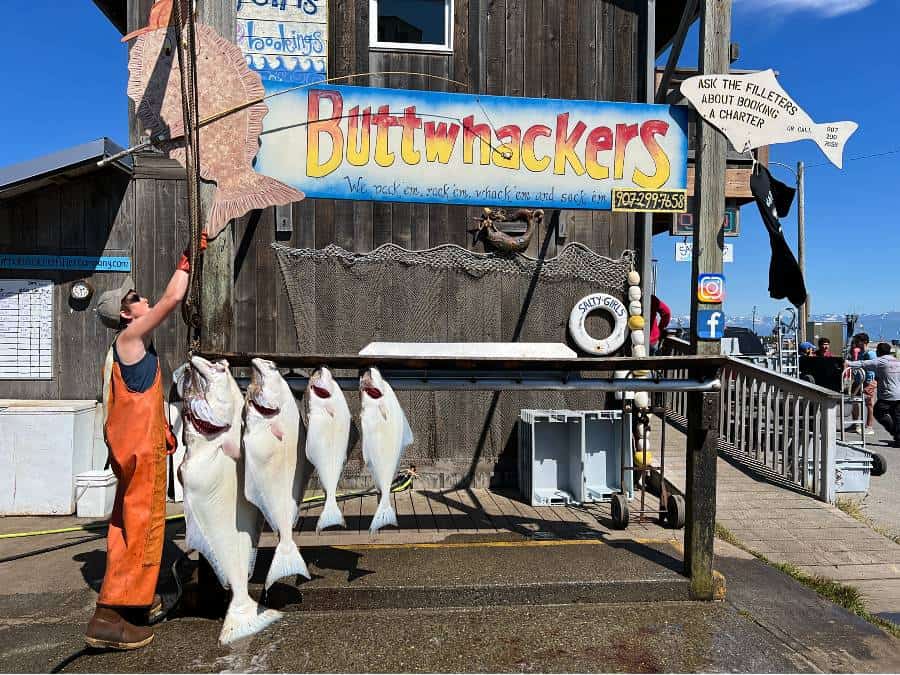 Fishing is a great reason why you should visit Alaska