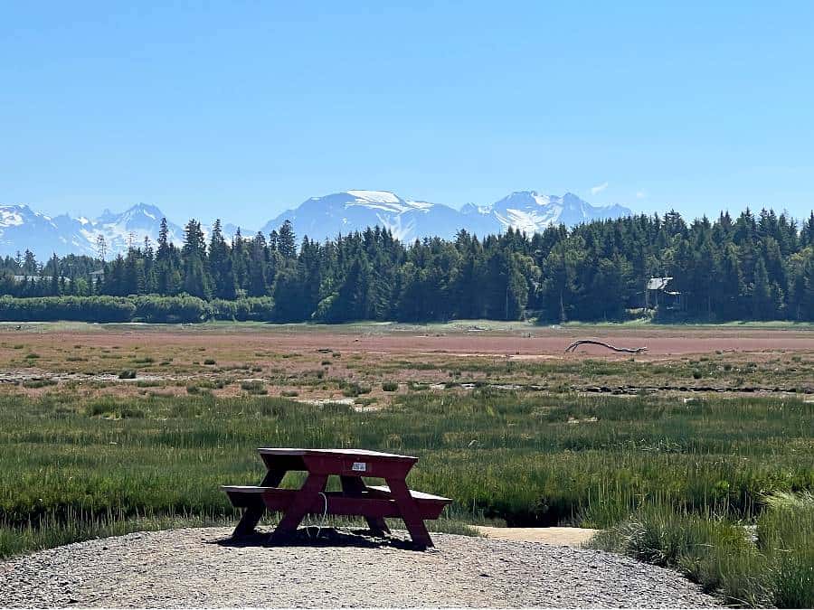 views along Beluga Slough Trail in Homer
