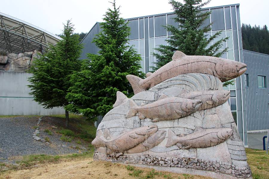 one of the great things to do in Seward is visit Alaska sealife center