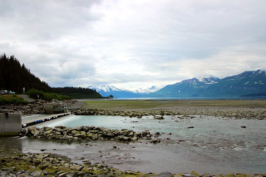for free things to do in Valdez Alaska, take a free self-guided tour of Solomon Gulch Hatchery