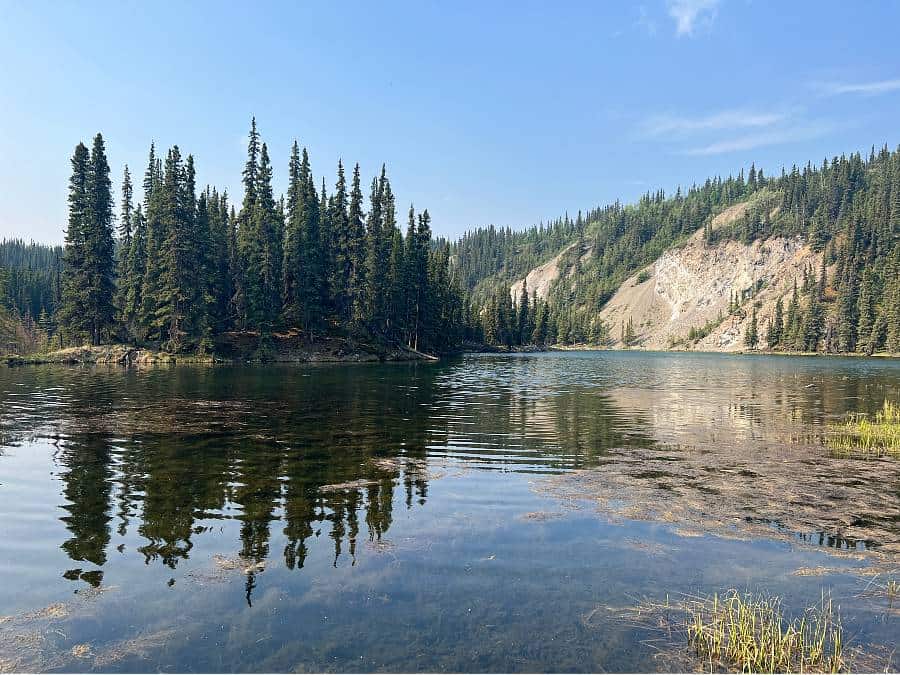 Horseshoe Lake Trail Denali