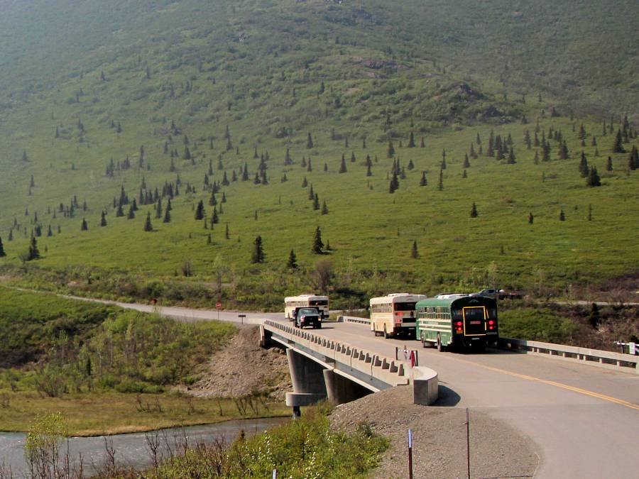 transit buses in Denali National Park