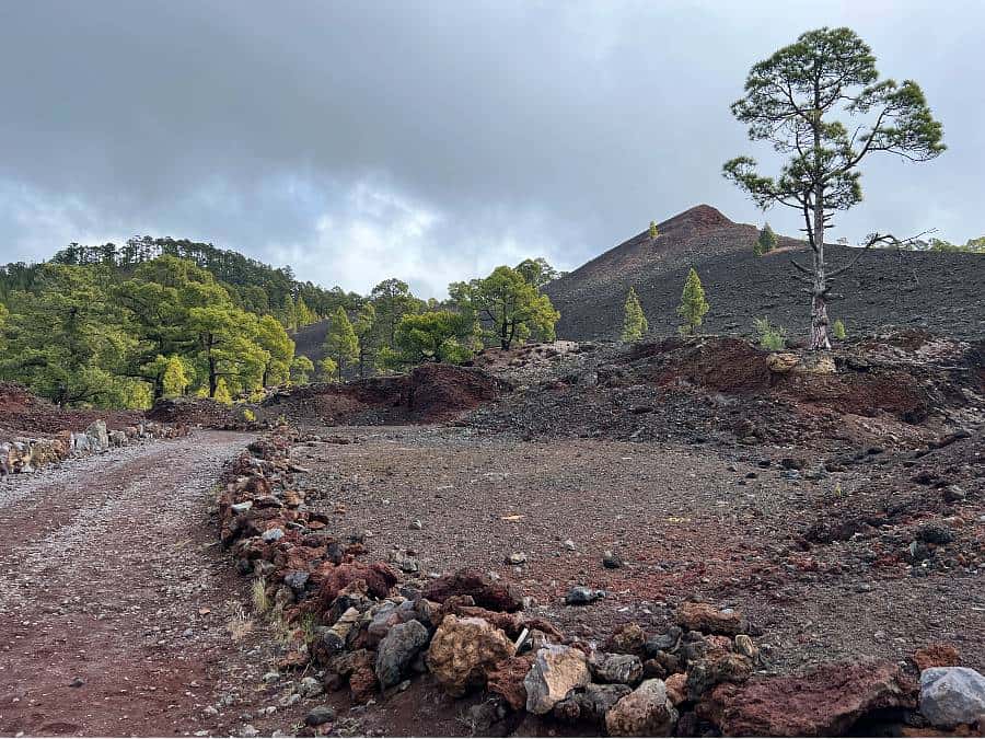 Chinyero Volcano walking trail in Tenerife with black lava rock, pine trees and volcanic landscape.