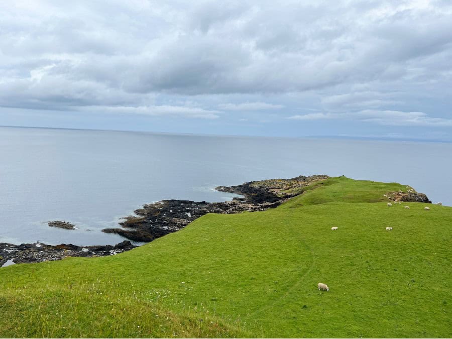 grassy plateau at the end of Brothers Point, Scotland