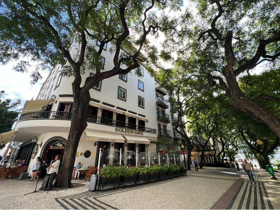 Tree-lined street in Funchal city centre with cafés and historic buildings