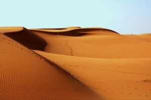 vast apricot sand dunes you can view on a desert safari in Qatar