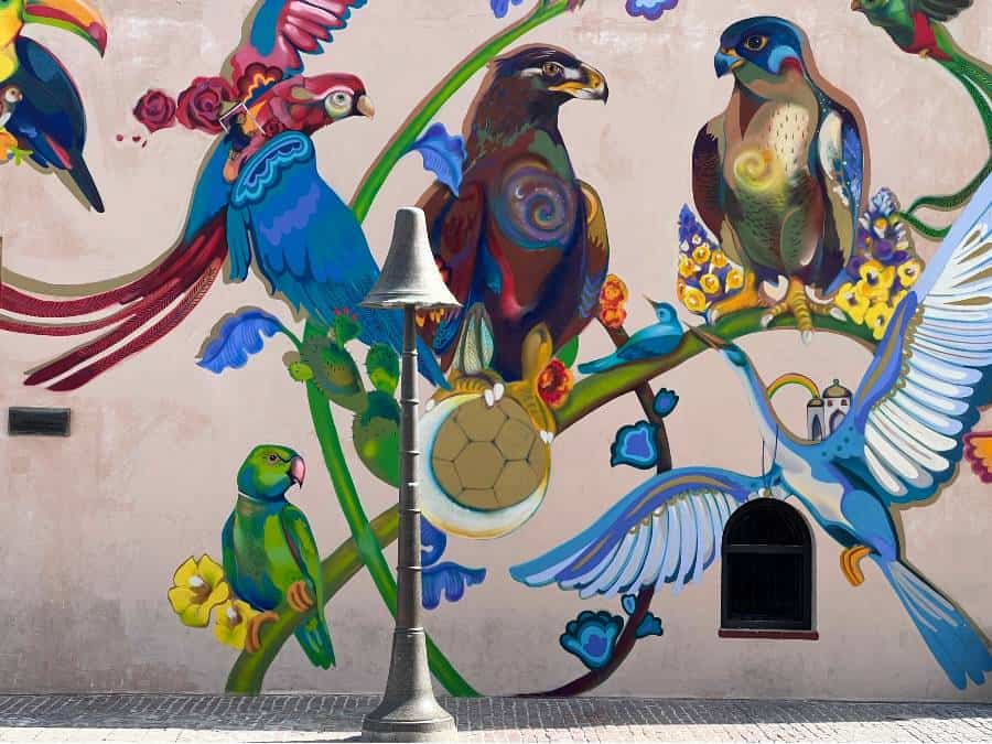 street art depicting colourful birds