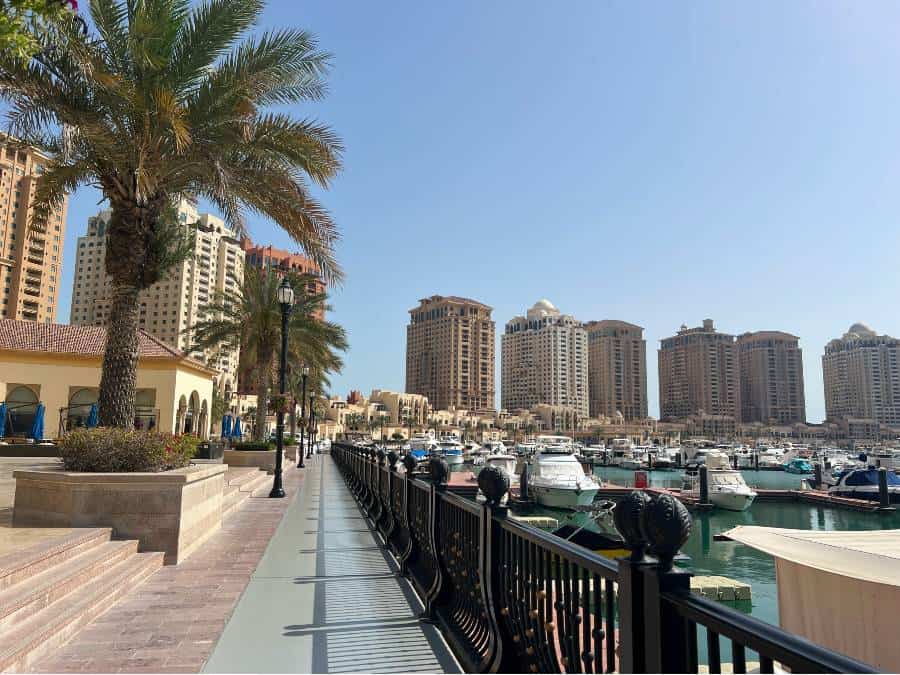 palm-tree lined walkway alongside yachts moored in water and high-rise buildings in the background