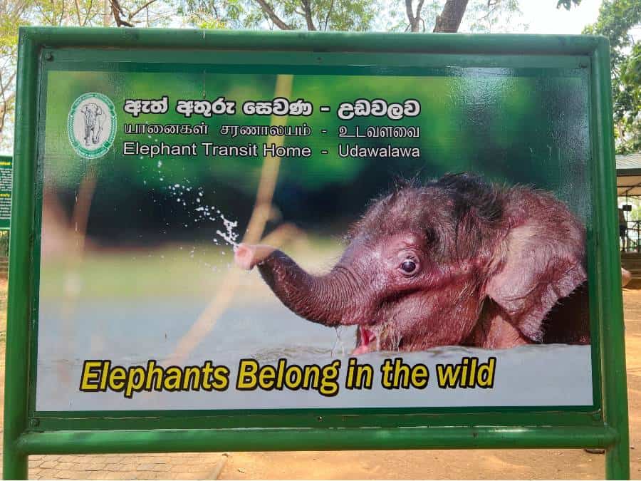 a sign featuring a baby elephant at Elephant Transit Home