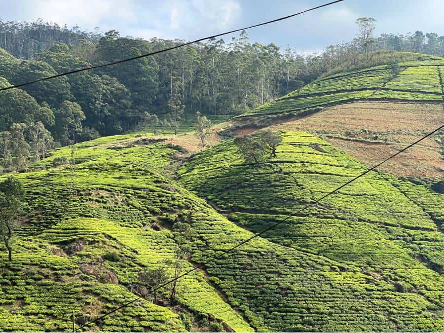 Renting a tuktuk in Sri Lanka allows to to enjoy driving through the scenic Hill Country