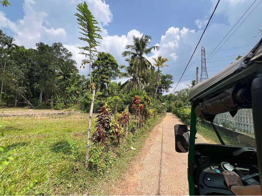Getting around Sri Lanka by renting a tuk tuk is a great way to explore the scenic back roads.