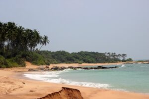 a golden sand beach in Sri Lanka