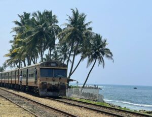 Taking a scenic train ride is just one of the ways of getting around Sri lanka.