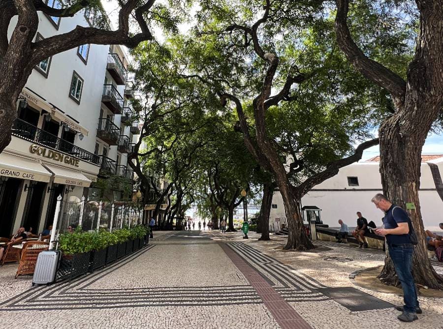 Avenida Arriaga in Funchal’s city centre