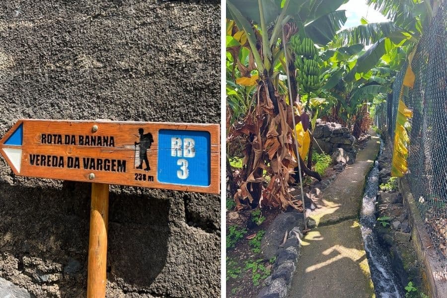Wooden “Rota da Banana” trail sign in Madeira with route marker RB3. Narrow levada path through banana plantations on the Rota da Banana walk in Madeira.